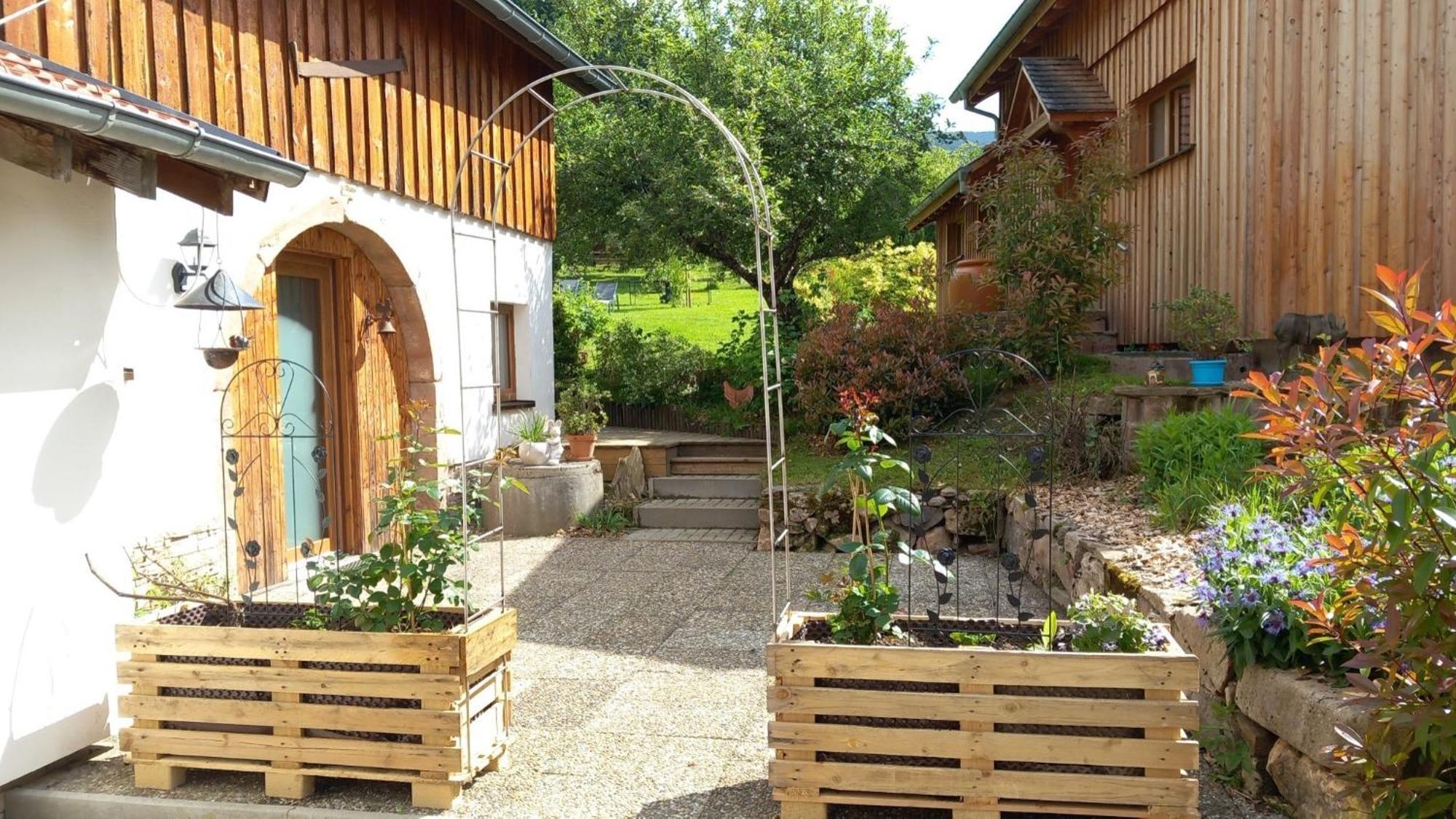 Cocon De St Pierre Appartement Sainte-Marie-aux-Mines Buitenkant foto