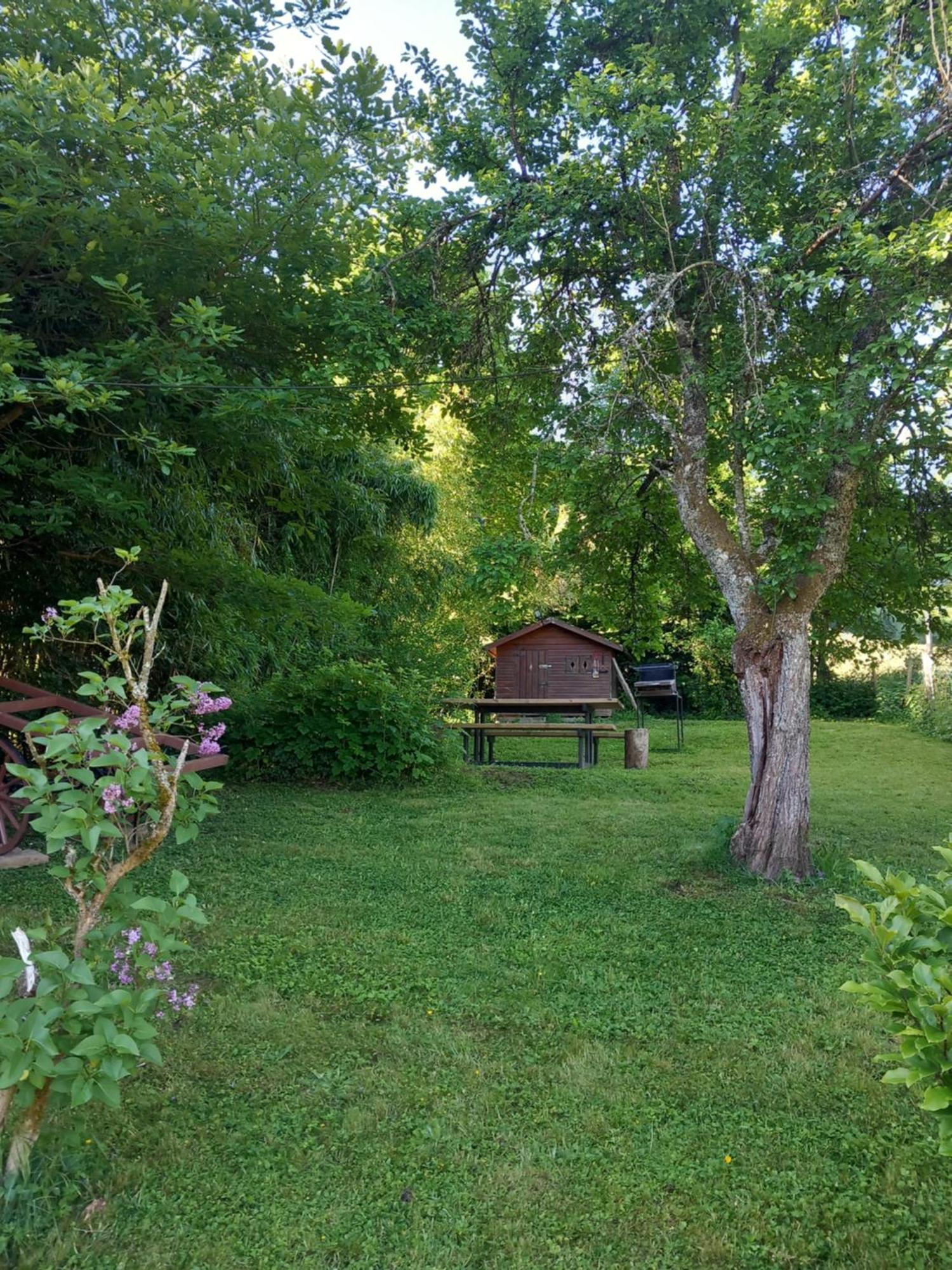 Cocon De St Pierre Appartement Sainte-Marie-aux-Mines Buitenkant foto